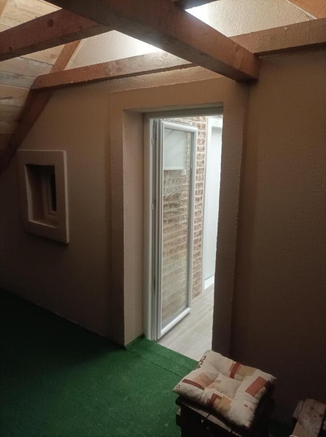 Apartmani Marija Zemun Zemun Polje Exteriér fotografie