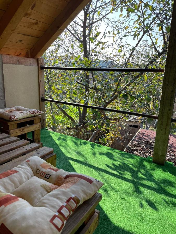 Apartmani Marija Zemun Zemun Polje Exteriér fotografie