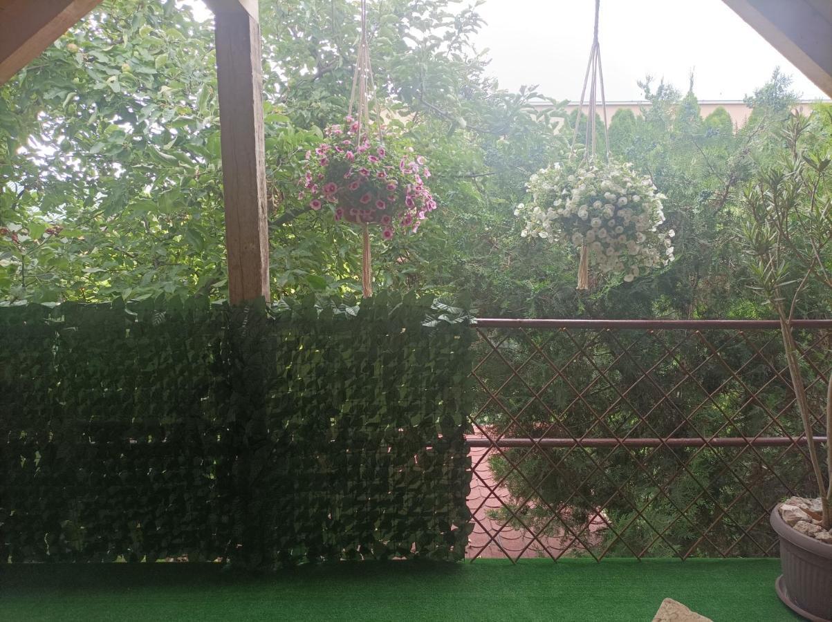 Apartmani Marija Zemun Zemun Polje Exteriér fotografie